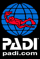 padi11